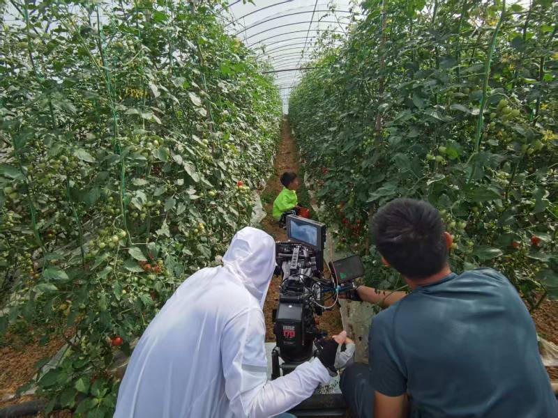 苏仙区产品宣传视频拍摄公司进阶指南，助力品牌抢占传播高地